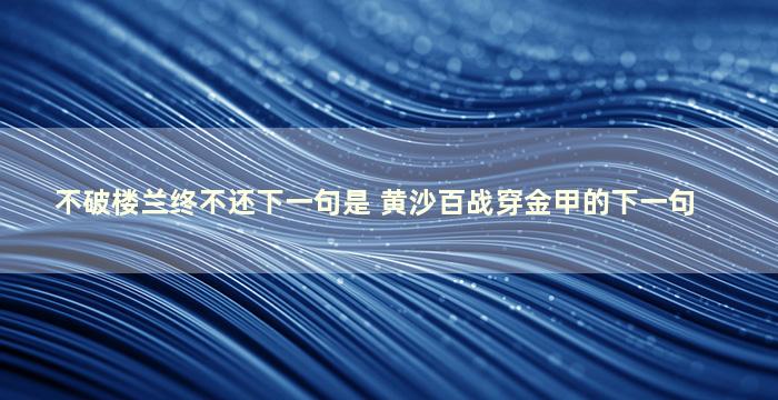 不破楼兰终不还下一句是 黄沙百战穿金甲的下一句